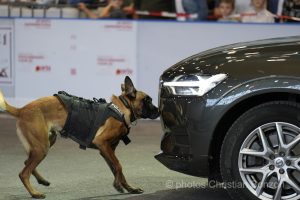 Prestattion serment des policiers 2024