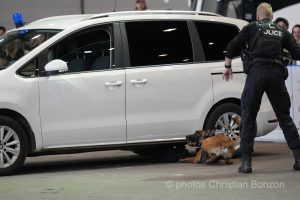 Prestattion serment des policiers 2024