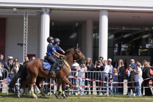 Prestattion serment des policiers 2024