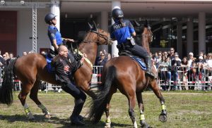 Prestattion serment des policiers 2024