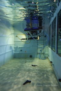 Prestattion serment des policiers 2024