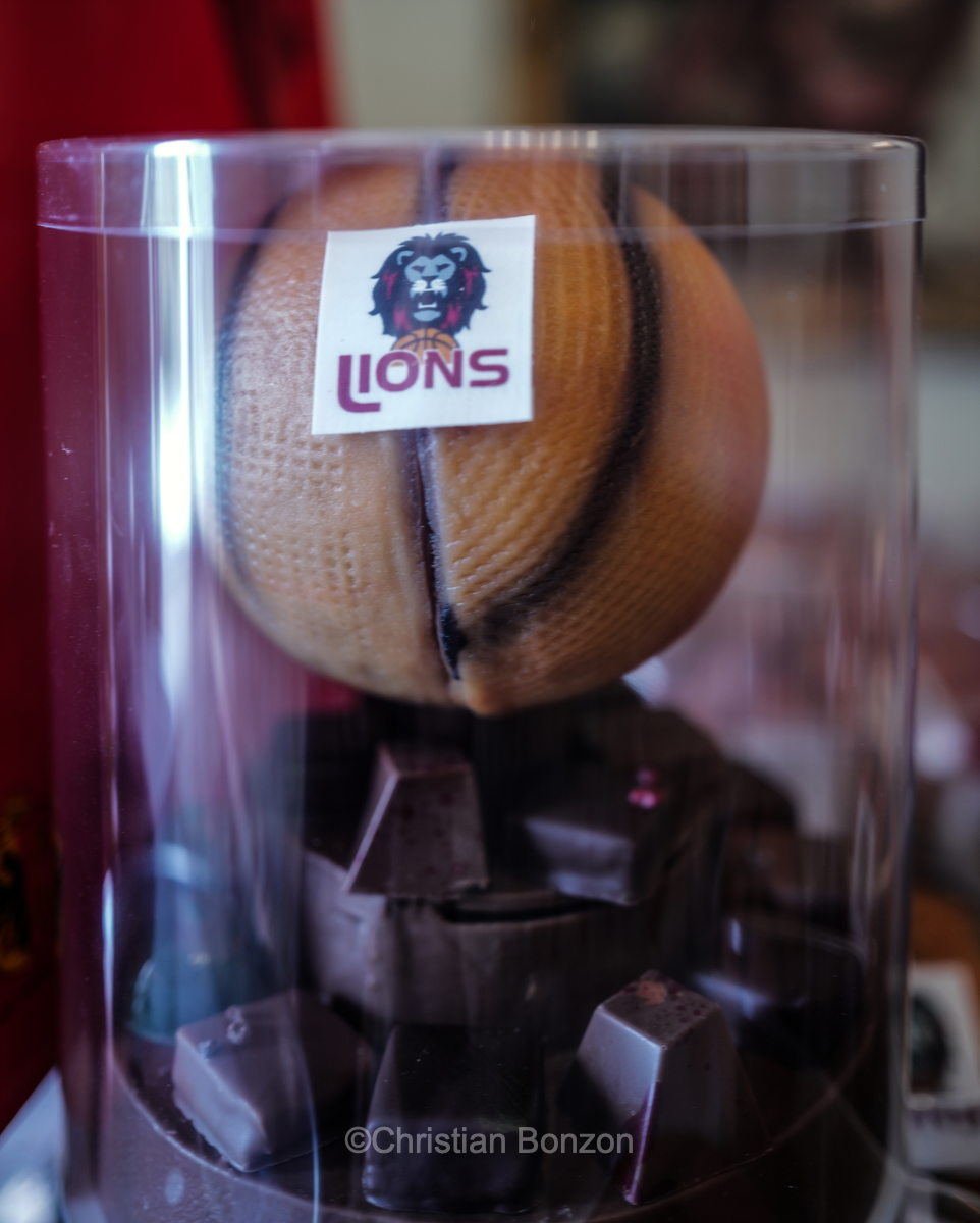 Crmonie en l'honneur des Lions de Genve,