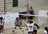 Volleyball Infomaniak Genève – Biwi VFM