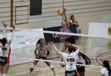 Volleyball Infomaniak Genève – Biwi VFM