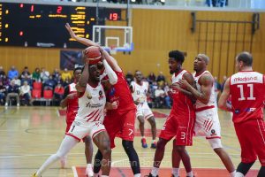 Les Lions de Genve sÕimposent face  Massagno au Pommier