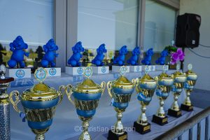 45me Tournoi Europen de football des Schtroumpfs